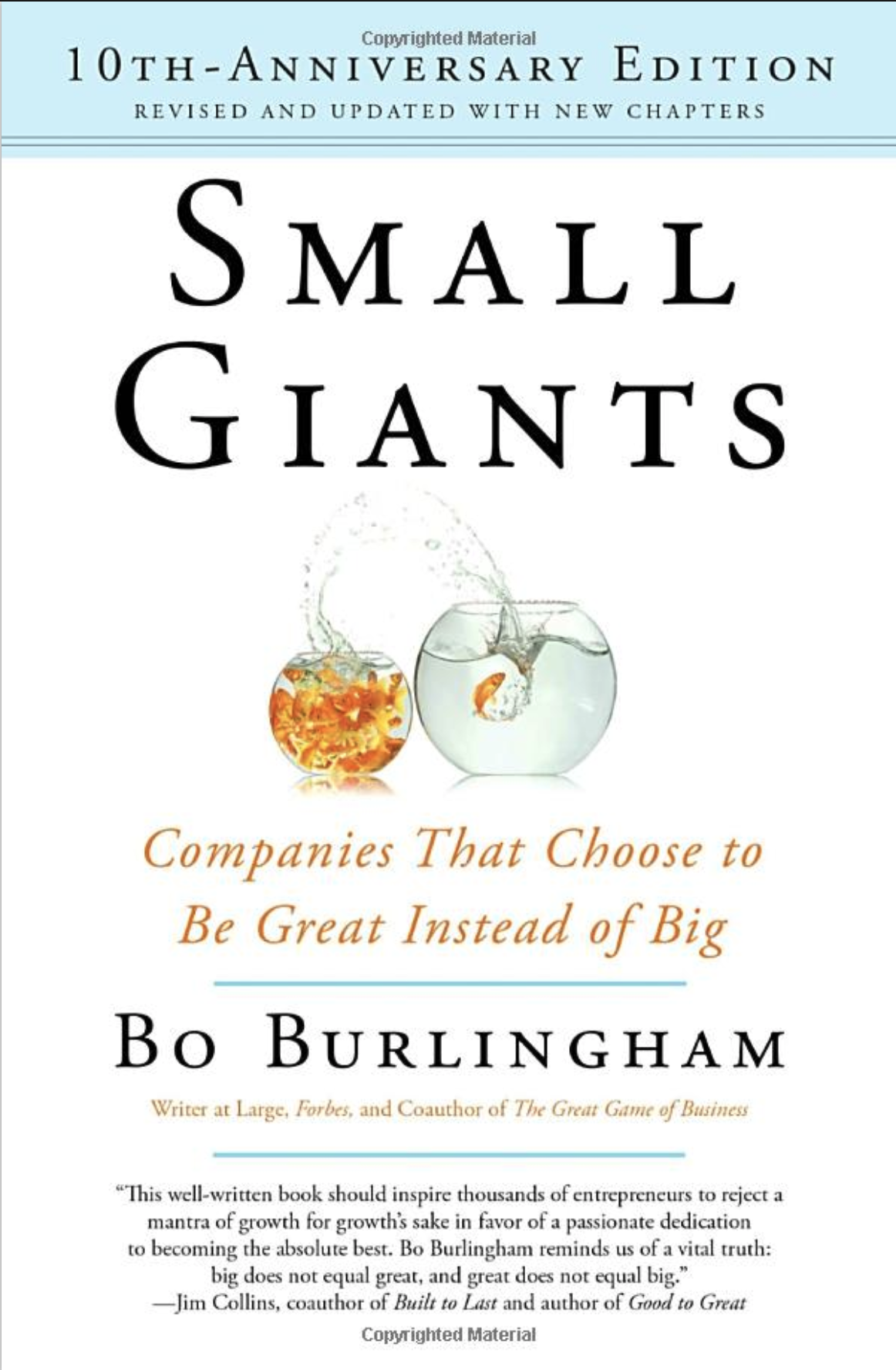 Book cover with title 'Small Giants by Bo Burlingham'