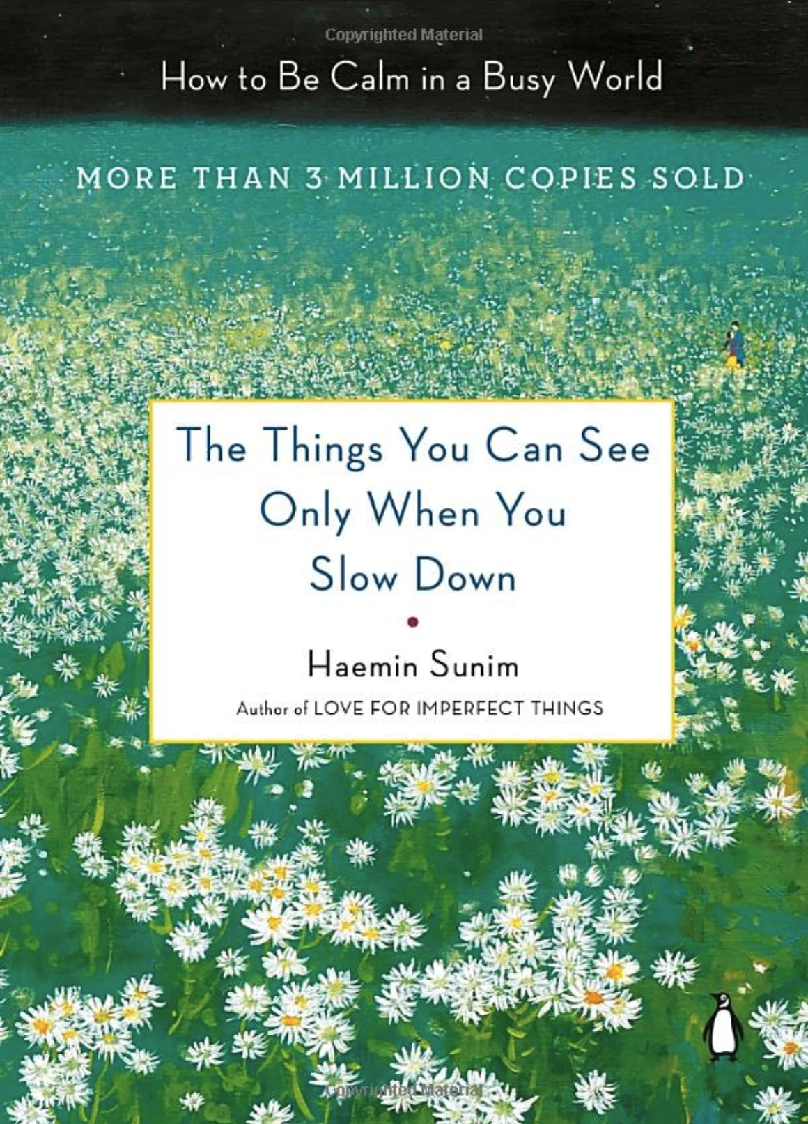 Book cover with a field of daisies and title 'The Things You Can See Only When You Slow Down by Haemin Sunim'